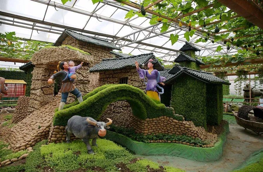 壽光野菜展覧会