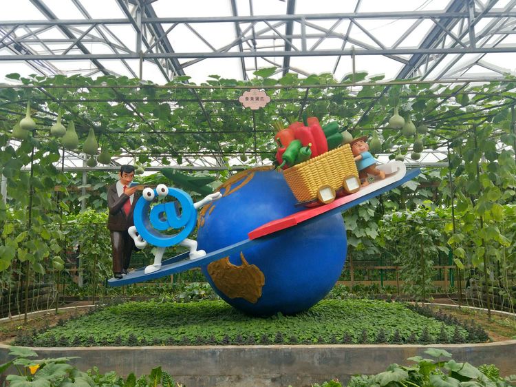 壽光野菜展覧会