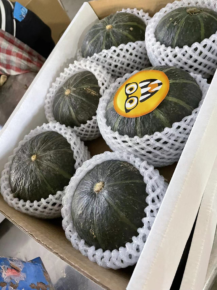 カボチャ