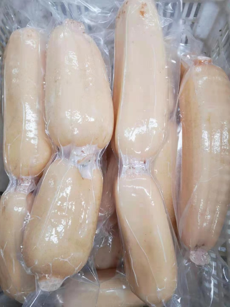 蓮根
